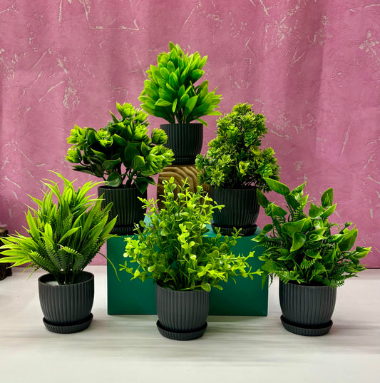 Dekorly 6 Packs Fake Plants Small, Mini Artificial Plants Indoor For Home Farmhouse Bathroom - Itsmygadgets