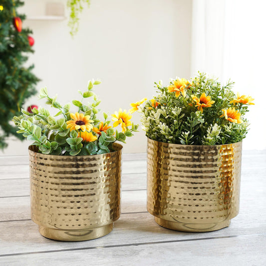 BEHOMA Metal Hammered Golden Mini Table top Planter for Home Decoration - Itsmygadgets